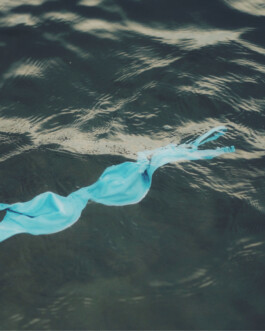 Iris Vermeij Photography Print (Topless Summer) 